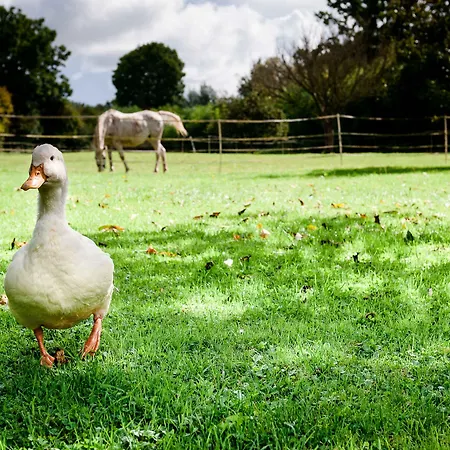 La Ferme D'ervee De Saint-roch