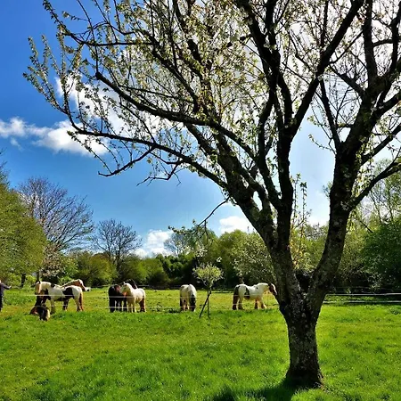 La Ferme D'ervee De Saint-roch Konukevi Isigny-sur-Mer
