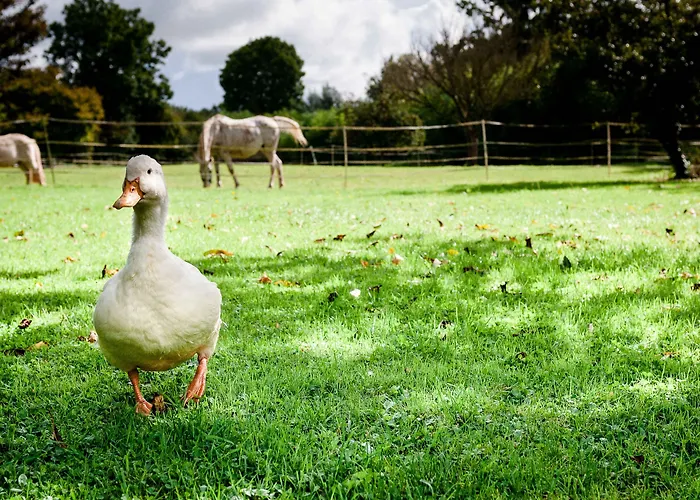 La Ferme D'ervee De Saint-roch